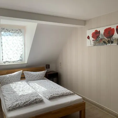 Apparthaus Pfeifer Aparthotel 2*