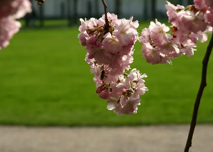 Apparthaus Pfeifer Aparthotel