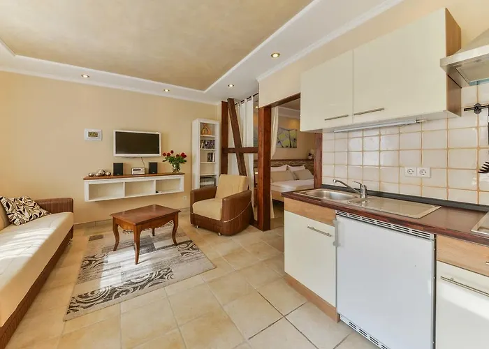 アパータウス ファイファー アパートホテル